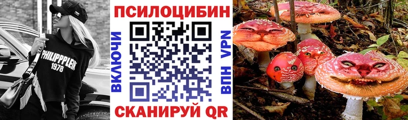 Псилоцибиновые грибы прущие грибы  ОМГ ОМГ как зайти  Сургут 