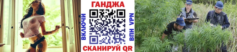 Канабис Bruce Banner Сургут